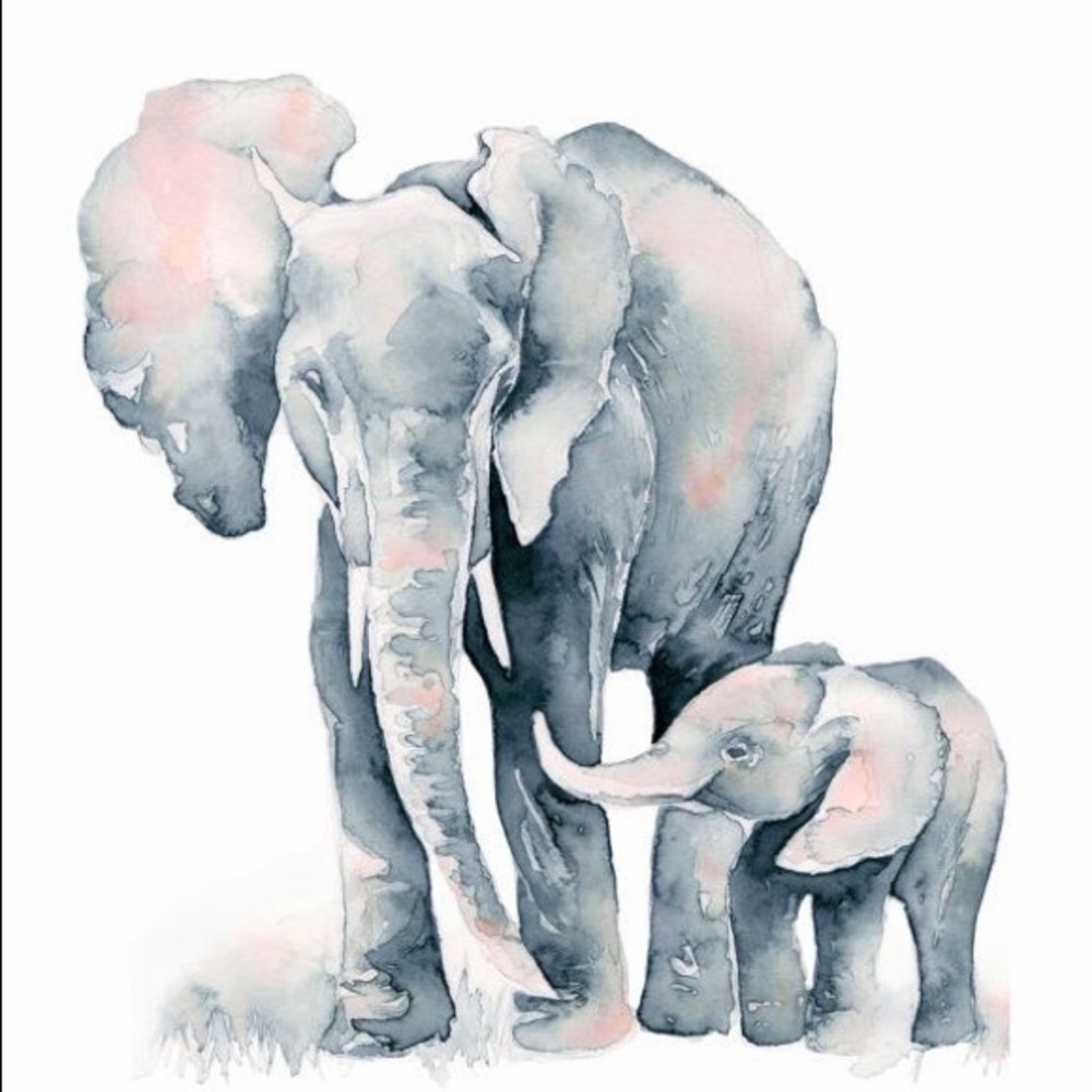 Meet your Posher, Kennedi